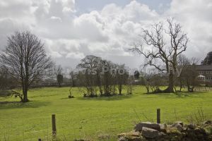 fence 2.jpg